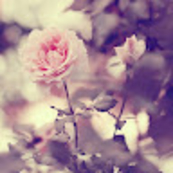 fallenangel844
